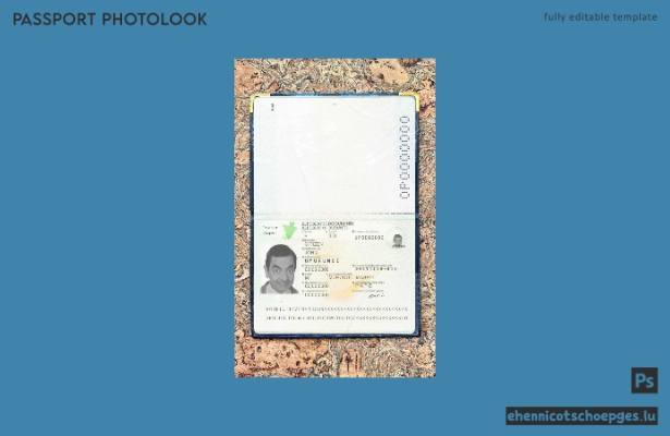 Beispielansicht des Passfotos für Burundi (2011–2019)
